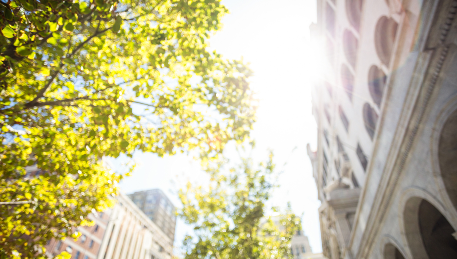 Spring Arrives… But Not For Everyone